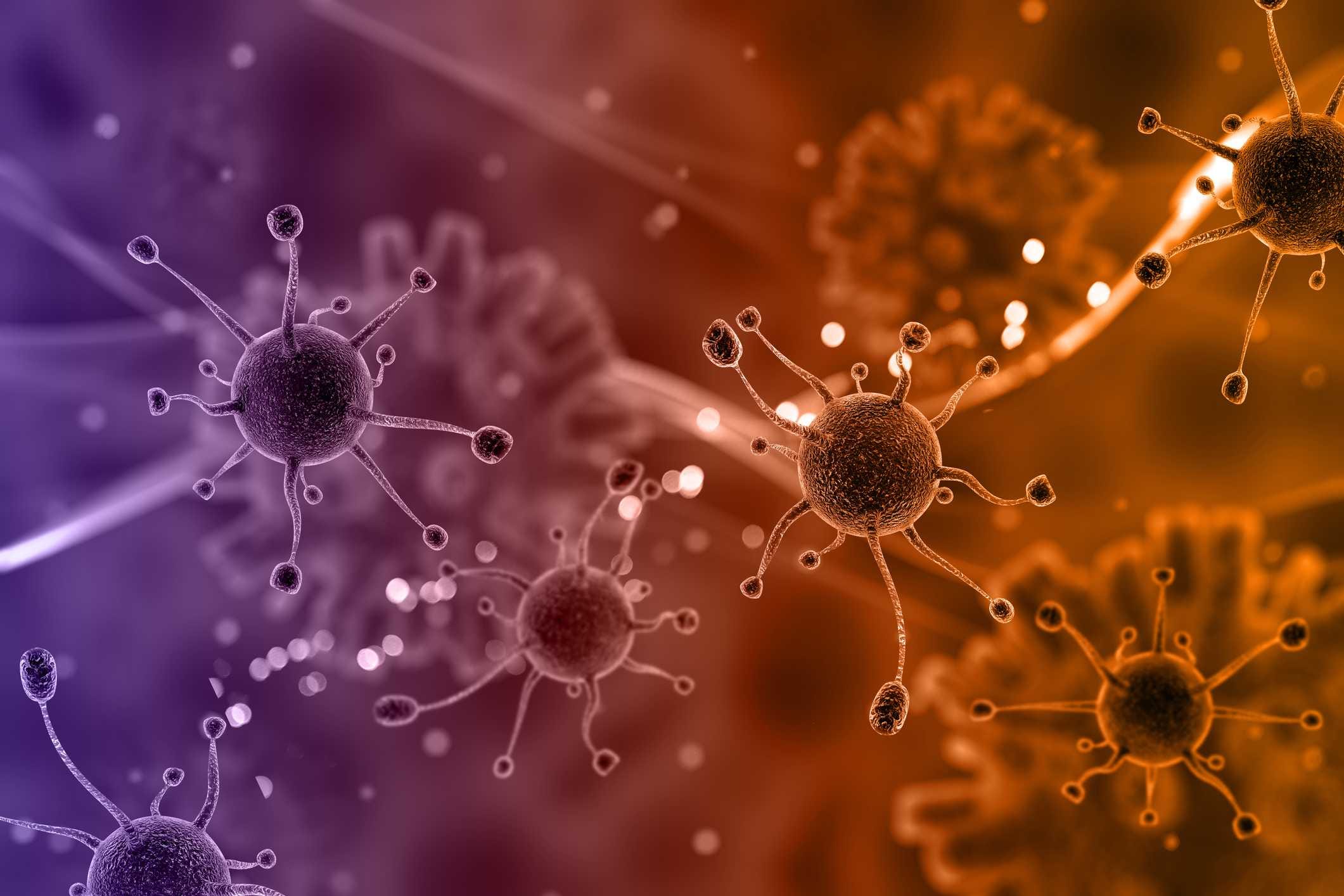 Células Beta pancreáticas