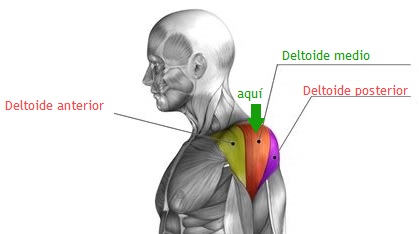 Sitio intramuscular para inyección de insulina rápida o ultrarrápida